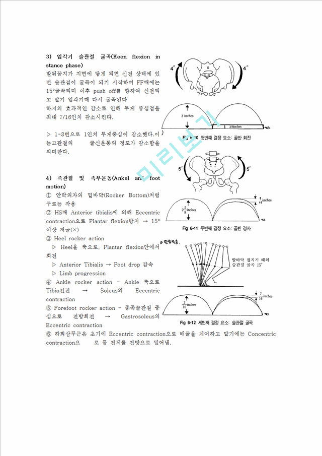 [의학][물리치료학] gait[보행] 분석.hwp